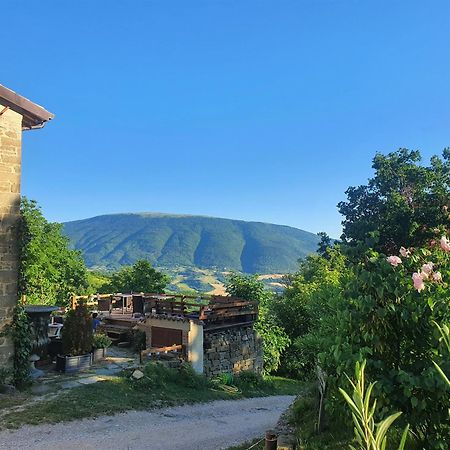 Le Ginestre Guesthouse Assisi Bagian luar foto