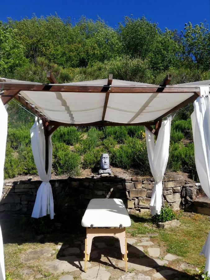 Le Ginestre Guesthouse Assisi Bagian luar foto