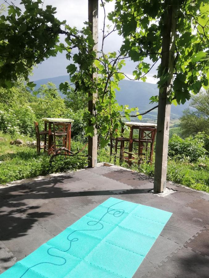 Le Ginestre Guesthouse Assisi Bagian luar foto