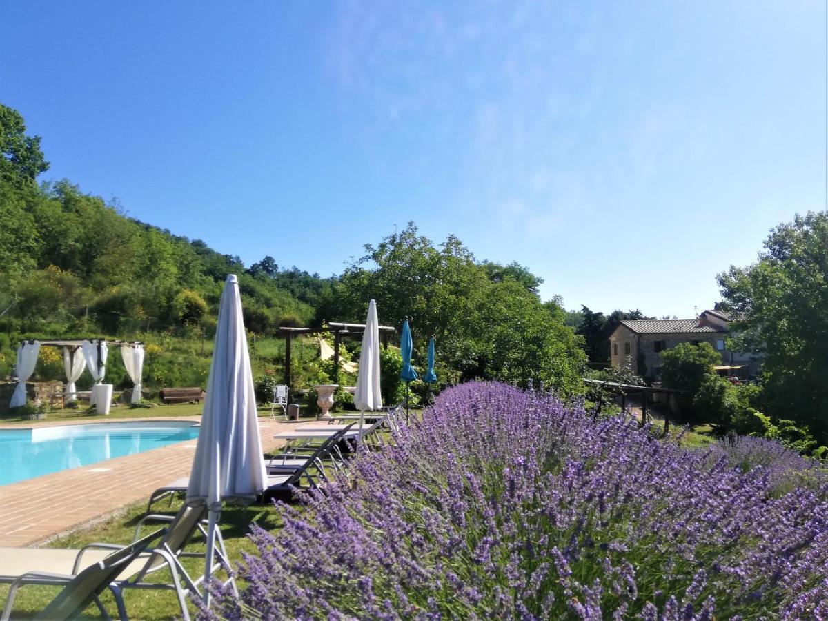 Le Ginestre Guesthouse Assisi Bagian luar foto