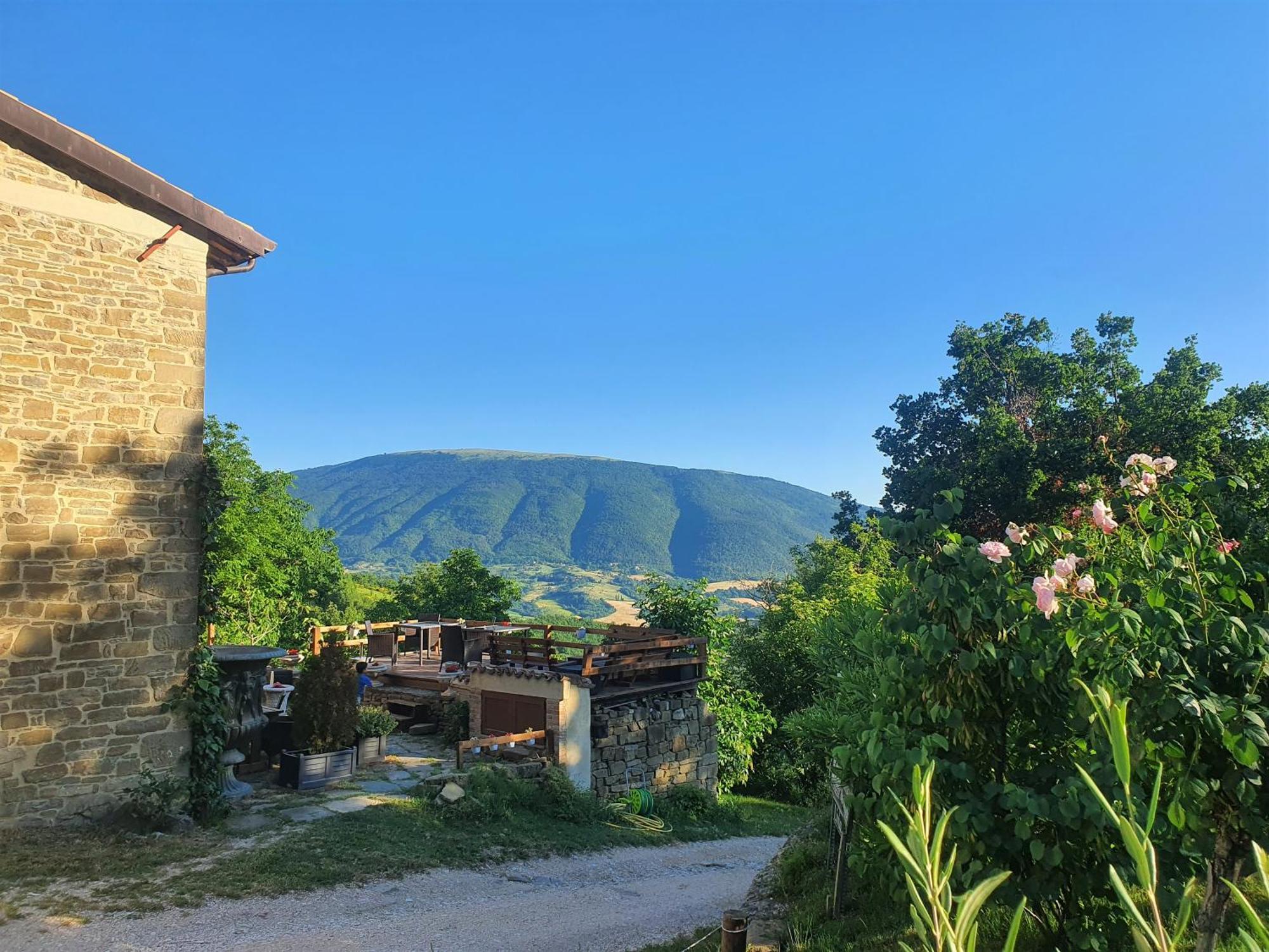 Le Ginestre Guesthouse Assisi Bagian luar foto