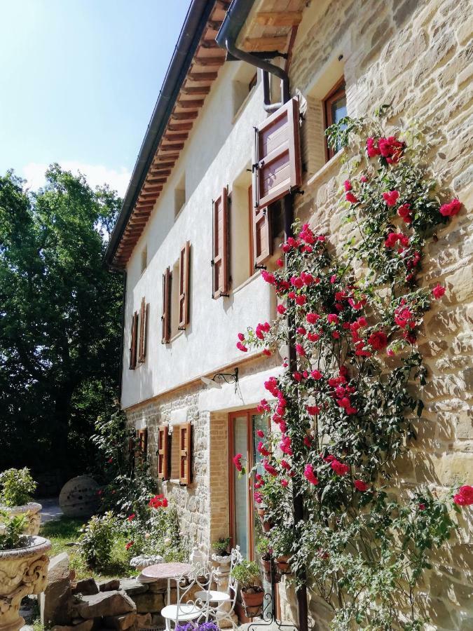 Le Ginestre Guesthouse Assisi Bagian luar foto